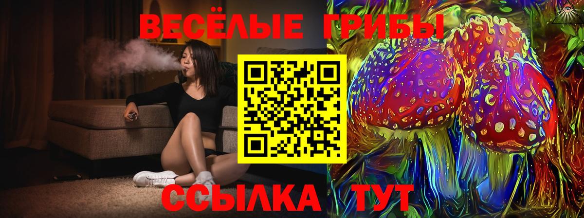Псилоцибиновые грибы прущие грибы Котлас