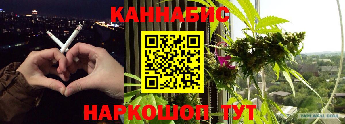 Шишки марихуана семена Котлас